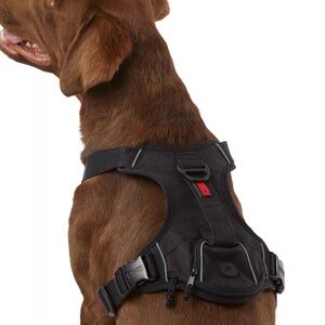 KONG Black Dog Harness